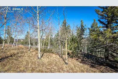 1343 Golden Cycle Circle, Cripple Creek, CO 80813 - Photo 31