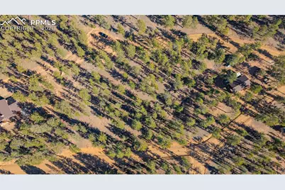 113 Schmittel Drive, Sedalia, CO 80135 - Photo 9