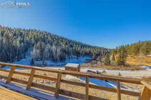69 Snowberry Creek Rd, Florissant, CO 80816 - Photo 11