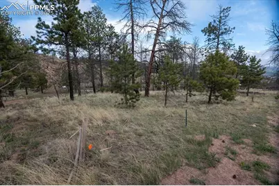 144 Chapparal Trail, Florissant, CO 80816 - Photo 23