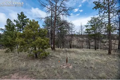 144 Chapparal Trail, Florissant, CO 80816 - Photo 21