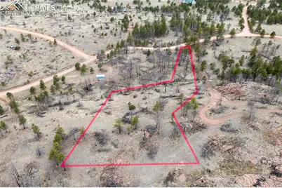 144 Chapparal Trail, Florissant, CO 80816 - Photo 7