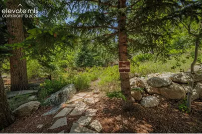 4530 Governors Point, Colorado Springs, CO 80906 - Photo 47