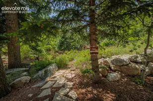 4530 Governors Point, Colorado Springs, CO 80906 - Photo 47