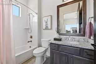 4252 Horse Gulch Loop, Colorado Springs, CO 80924 - Photo 25