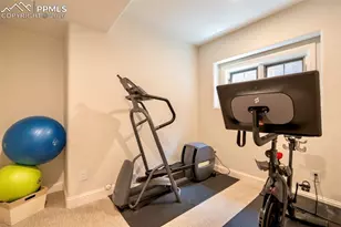 1575 Vine Cliff Heights, Colorado Springs, CO 80921 - Photo 45