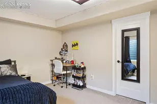 9307 Blue Birch Ct, Colorado Springs, CO 80927 - Photo 21