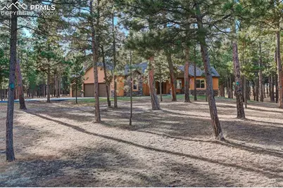 14994 Snowy Pine Point, Colorado Springs, CO 80908 - Photo 5