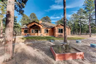 14994 Snowy Pine Point, Colorado Springs, CO 80908 - Photo 43