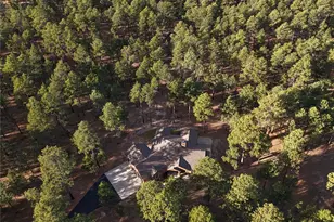 14994 Snowy Pine Point, Colorado Springs, CO 80908 - Photo 45