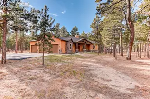 14994 Snowy Pine Point, Colorado Springs, CO 80908 - Photo 35