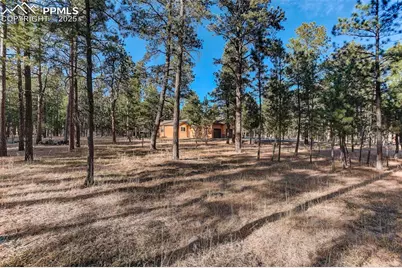 14994 Snowy Pine Point, Colorado Springs, CO 80908 - Photo 7