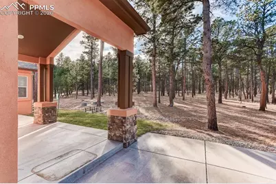 14994 Snowy Pine Point, Colorado Springs, CO 80908 - Photo 33