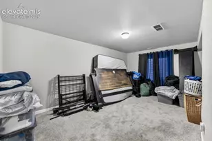 6390 Tranters Creek Way, Colorado Springs, CO 80925 - Photo 43