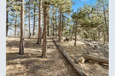 Lot 20 Echo Lake Drive, Lake George, CO 80827 - Photo 7