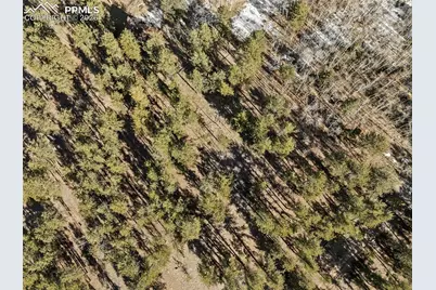 Lot 20 Echo Lake Drive, Lake George, CO 80827 - Photo 15