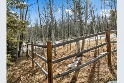 Lot 20 Echo Lake Drive, Lake George, CO 80827 - Photo 5