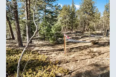 Lot 20 Echo Lake Drive, Lake George, CO 80827 - Photo 13
