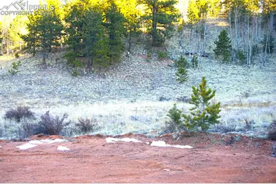 637 Valley Road, Divide, CO 80814 - Photo 5