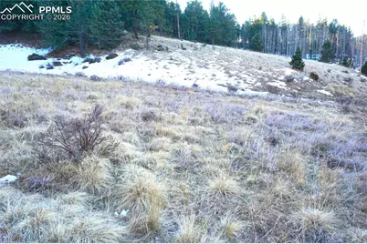 637 Valley Road, Divide, CO 80814 - Photo 9