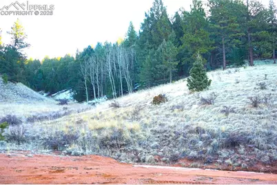 637 Valley Road, Divide, CO 80814 - Photo 3