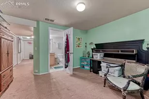 6749 Rio Bravo Grove, Colorado Springs, CO 80922 - Photo 17
