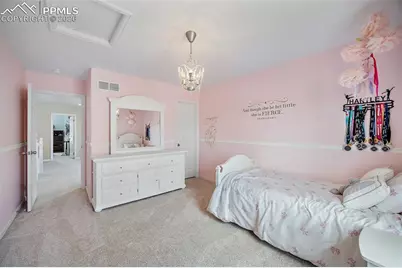 1799 Granger Circle, Castle Rock, CO 80109 - Photo 29