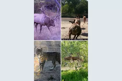 16880-1688 Old Pueblo Road, Fountain, CO 80817 - Photo 7