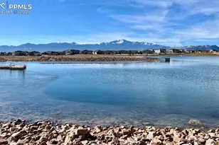 8980 Frolic Vw, Colorado Springs, CO 80924 - Photo 47