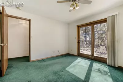 140 Wrangler Creek Circle, Florissant, CO 80816 - Photo 23