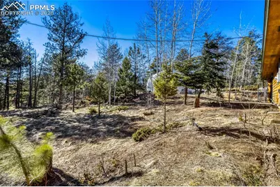 140 Wrangler Creek Circle, Florissant, CO 80816 - Photo 29