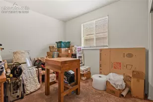 3921 John Ct, Castle Rock, CO 80104 - Photo 23