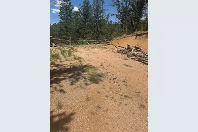 110 Brown Bear Lane, Cripple Creek, CO 80816 - Photo 3