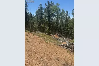 110 Brown Bear Lane, Cripple Creek, CO 80816 - Photo 1