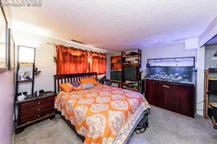 1174 Magnolia St, Colorado Springs, CO 80907 - Photo 11