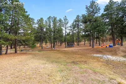 17521 Abert Ridge View, Colorado Springs, CO 80908 - Photo 49