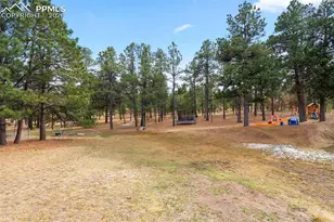 17521 Abert Ridge View, Colorado Springs, CO 80908 - Photo 49