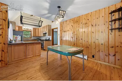 924 Spruce Haven Drive, Woodland Park, CO 80863 - Photo 9