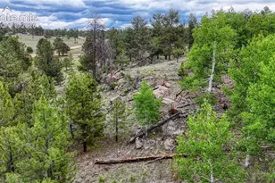 330 Arrowhead Dr, Florissant, CO 80816 - Photo 15