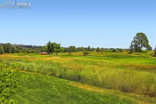 352 Blue Windsor Ln, Colorado Springs, CO 80906 - Photo 29