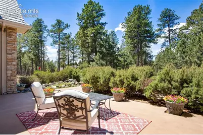 16075 Winding Trail Road, Colorado Springs, CO 80908 - Photo 5