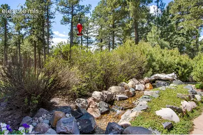 16075 Winding Trail Road, Colorado Springs, CO 80908 - Photo 5