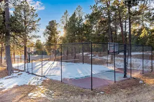 16075 Winding Trail Rd, Colorado Springs, CO 80908 - Photo 39