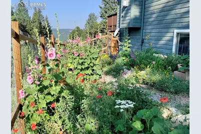 2988 Sunnywood Avenue, Woodland Park, CO 80863 - Photo 33