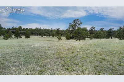11809 Flap Jack Lane, Colorado Springs, CO 80908 - Photo 11