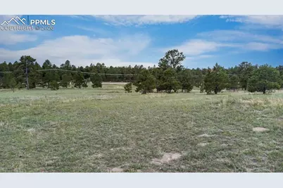 11809 Flap Jack Lane, Colorado Springs, CO 80908 - Photo 9