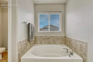 7690 Crestone Peak Trail, Colorado Springs, CO 80924 - Photo 29