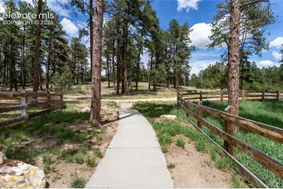1678 Lazy Cat Lane, Monument, CO 80132 - Photo 39