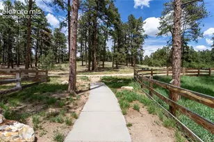 1678 Lazy Cat Ln, Monument, CO 80132 - Photo 39