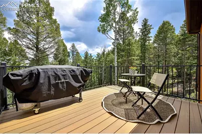 29 Dusti Circle, Florissant, CO 80816 - Photo 39